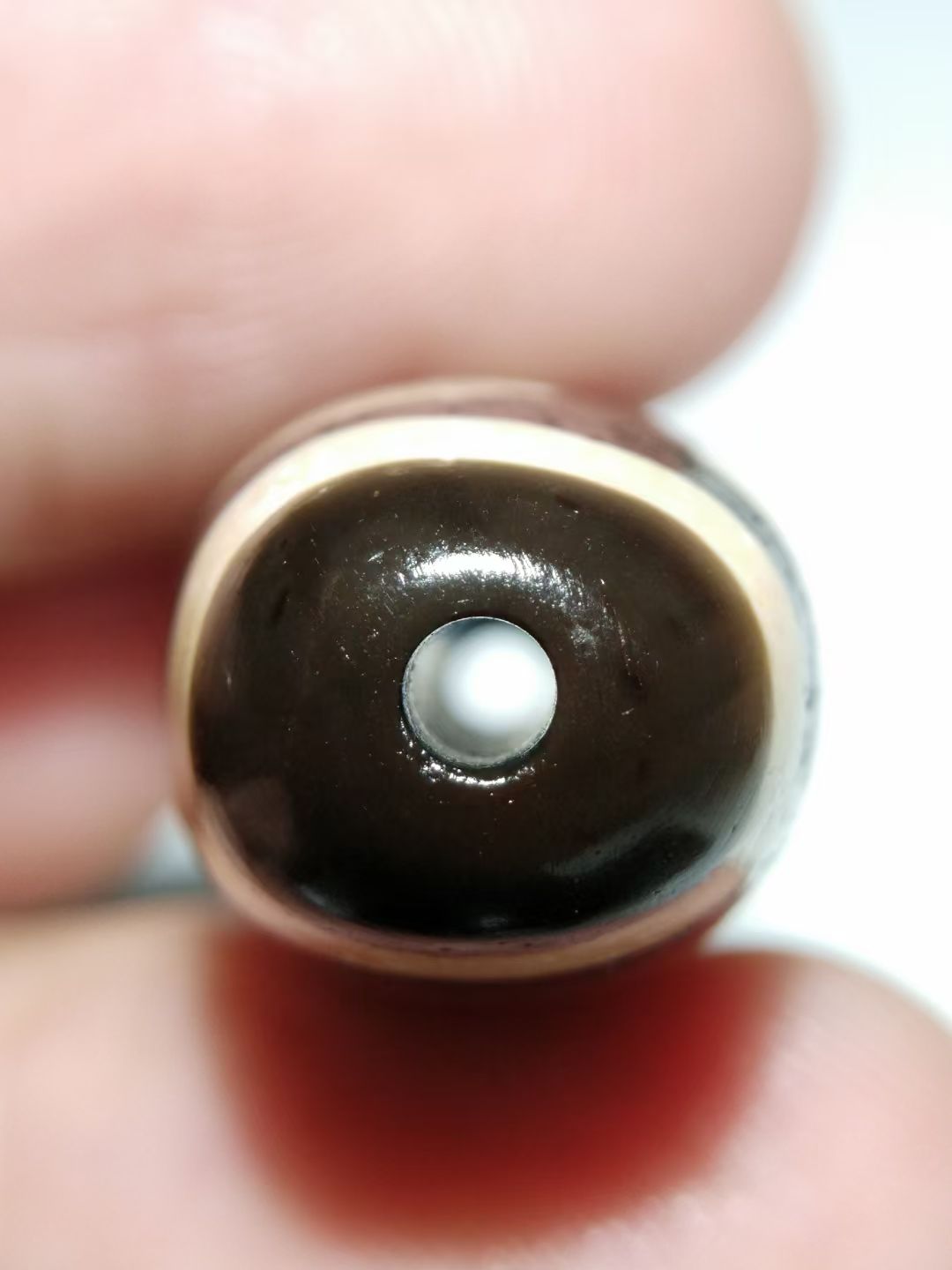 mmexport1772603171779