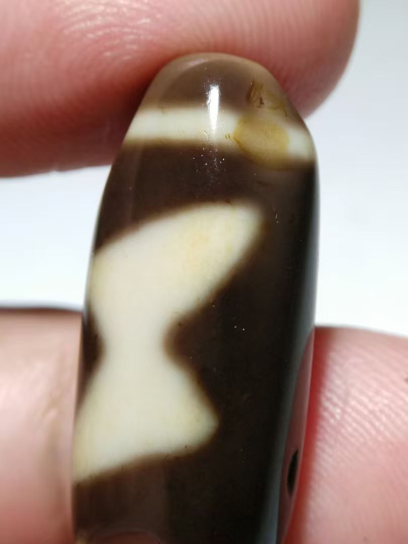 微信图片_20260304215059_51_12