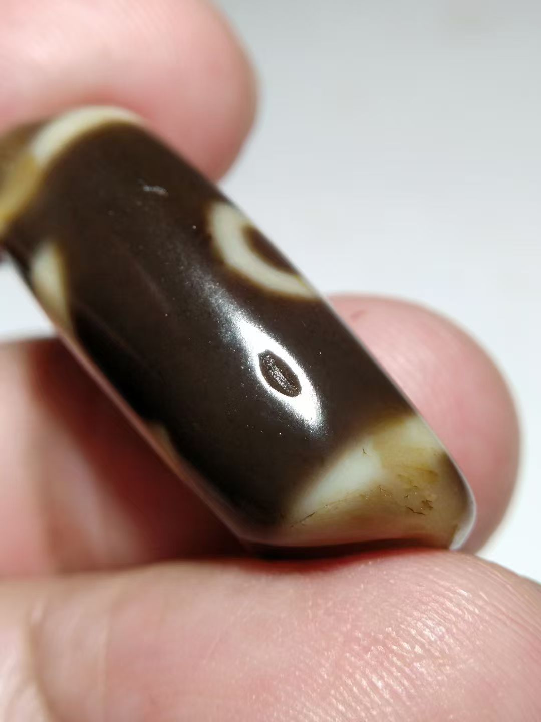 微信图片_20260304215100_52_12