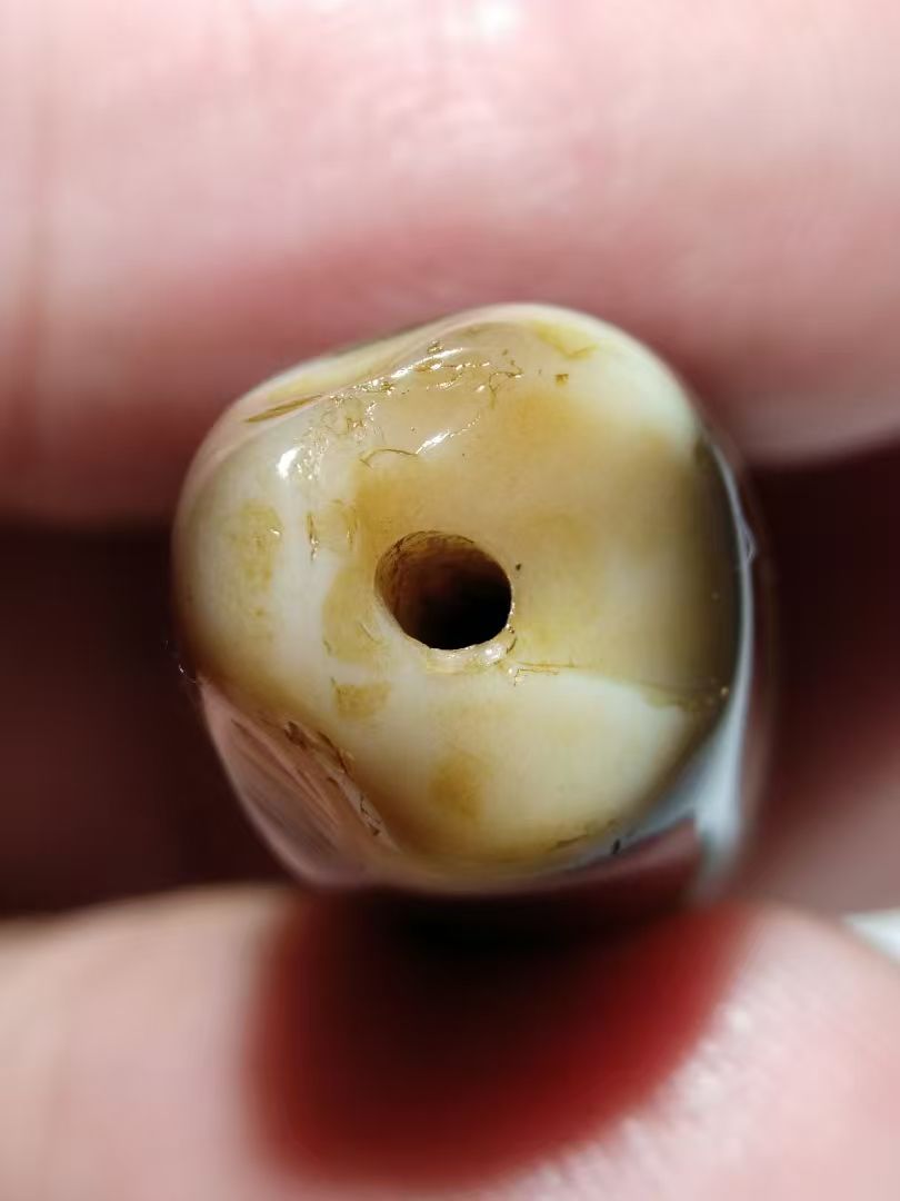 微信图片_20260304215101_54_12